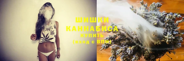 гашик Аркадак
