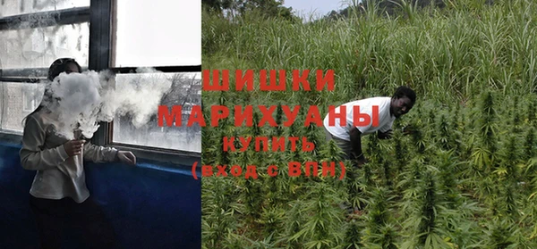 гашик Аркадак