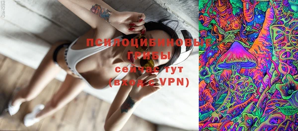 мяу мяу мука Арсеньев