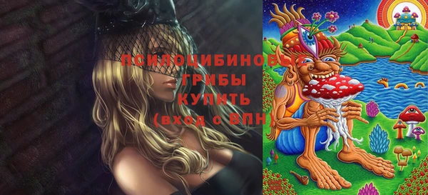 альфа пвп Армянск