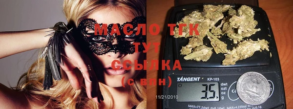 гашик Аркадак