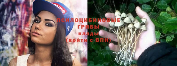 мяу мяу мука Арсеньев